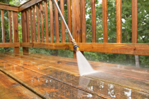 Best Gutter Cleaning  in Fox Lake, IL